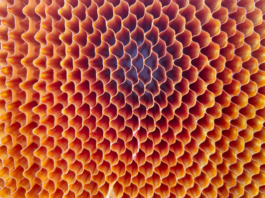 1757667321.jpg 1-1.jpg